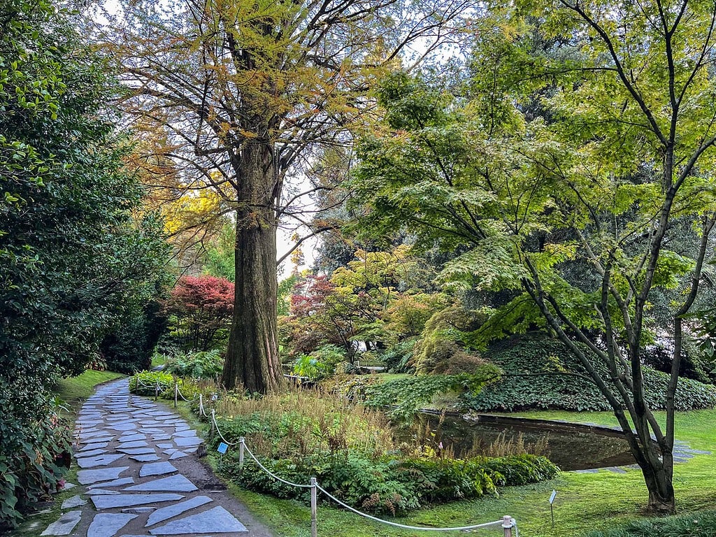 Comersee über die Reise 2026 8 Englischer Landschaftsgarten am Comersee mit grossem Mammutbaum, japanischen Ahornen und Steinplatten-Weg entlang eines Bachlaufs – Kulturzelt Reisen Kultur- und Gartenreise Comersee 2027