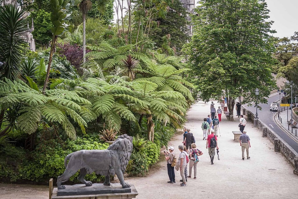 KULTURZELT REISEN 8 Reisegruppe auf einer breiten Promenade in Sintra, links Baumfarne und eine steinerne Löwenskulptur