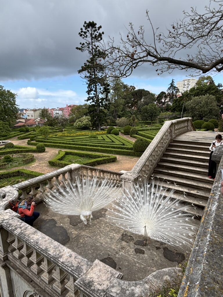 Reise Programm Sintra 2027 9 svg%3E
